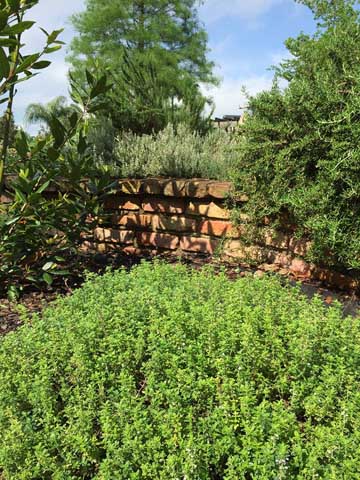 Beaumont Botanical Gardens 